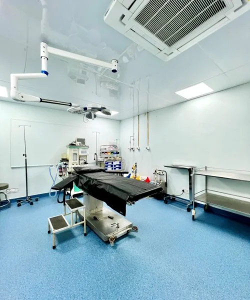 service gallery image 01